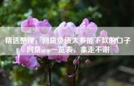 精选整理，网贷负债太多能下款的口子网贷app一览表，拿走不谢
