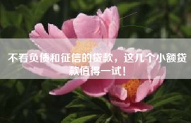 不看负债和征信的贷款，这几个小额贷款值得一试！