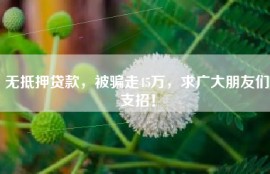 无抵押贷款，被骗走45万，求广大朋友们支招！