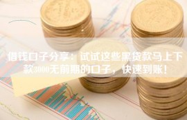 借钱口子分享：试试这些黑贷款马上下款3000无前期的口子，快速到账！