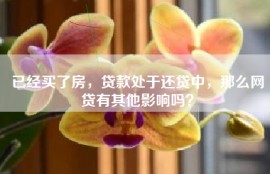 已经买了房，贷款处于还贷中，那么网贷有其他影响吗？