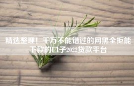 精选整理！千万不能错过的网黑全拒能下款的口子2022贷款平台