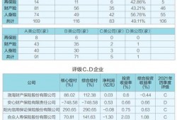 新规提出更严要求 多家公司申请偿付能力过渡期