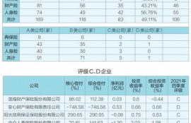新规提出更严要求 多家公司申请偿付能力过渡期