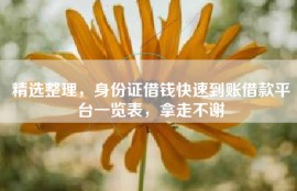 精选整理，身份证借钱快速到账借款平台一览表，拿走不谢