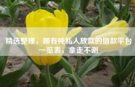 精选整理，哪有纯私人放款的借款平台一览表，拿走不谢