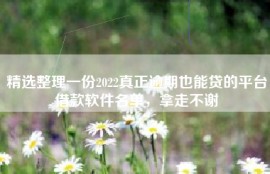 精选整理一份2022真正逾期也能贷的平台借款软件名单，拿走不谢