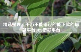 精选整理！千万不能错过的能下款的借款平台2022借款平台