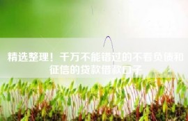 精选整理！千万不能错过的不看负债和征信的贷款借款口子