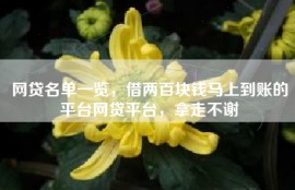 网贷名单一览，借两百块钱马上到账的平台网贷平台，拿走不谢