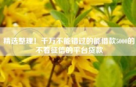 精选整理！千万不能错过的能借款5000的不看征信的平台贷款