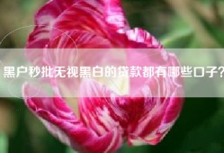 黑户秒批无视黑白的贷款都有哪些口子？