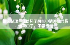 精选整理！征信坏了可以申请哪些网贷借款口子，不容错过
