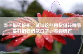 网上借钱被拒，试试这些网贷借钱哪家最好借钱借款口子，不容错过