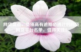网贷盘点，负债高有逾期必通过的网贷网贷平台名单，值得关注！
