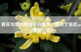 真实可靠的网贷平台推荐，这几个贷款app值得一试！