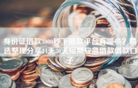 身份证借款3000秒下借款平台有哪些？精选整理分享14天30天短期应急借款借款口子