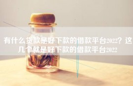 有什么贷款是好下款的借款平台2022？这几个就是好下款的借款平台2022
