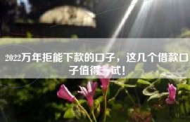 2022万年拒能下款的口子，这几个借款口子值得一试！