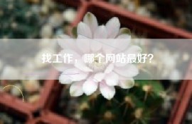 找工作，哪个网站最好？