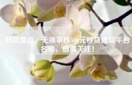 网贷盘点，无须审核500元秒贷借款平台名单，值得关注！