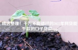精选整理！千万不能错过的2022年网贷能下款的口子贷款app