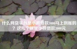 什么网贷平台是小额借款3000马上到账的？这几个就是小额借款3000元