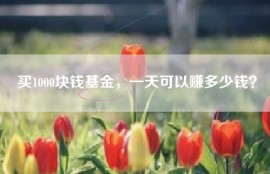 买1000块钱基金，一天可以赚多少钱？