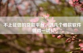 不上征信的贷款平台，这几个借款软件值得一试！