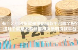 有什么小额贷款是微信借款平台哪个好？这几个就是不看征信和负债的贷款平台
