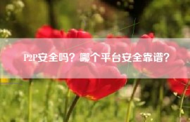 P2P安全吗？哪个平台安全靠谱？