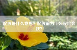 配股是什么意思？配股前为什么股价会跌？