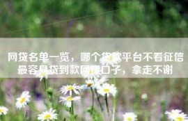 网贷名单一览，哪个贷款平台不看征信最容易贷到款网贷口子，拿走不谢