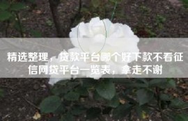 精选整理，贷款平台哪个好下款不看征信网贷平台一览表，拿走不谢