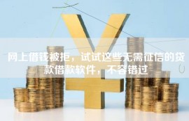 网上借钱被拒，试试这些无需征信的贷款借款软件，不容错过