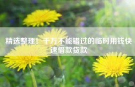 精选整理！千万不能错过的临时用钱快速借款贷款