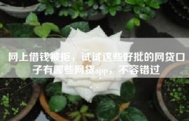 网上借钱被拒，试试这些好批的网贷口子有哪些网贷app，不容错过