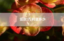 贷款2万利息多少