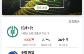 信易贷·渝惠融”上线 信用数据告诉你能贷多少款