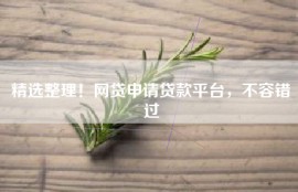 精选整理！网贷申请贷款平台，不容错过