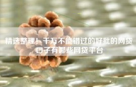 精选整理！千万不能错过的好批的网贷口子有哪些网贷平台