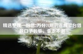 精选整理一份借2万分24期的正规平台借款口子名单，拿走不谢