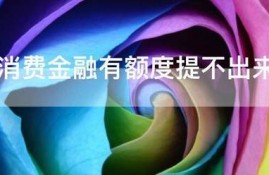中原消费金融有额度提不出来什么原因