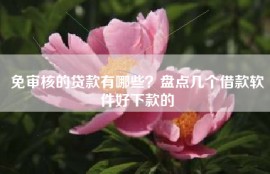 免审核的贷款有哪些？盘点几个借款软件好下款的