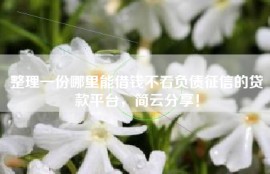 整理一份哪里能借钱不看负债征信的贷款平台，简云分享！