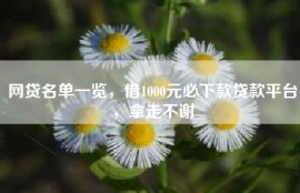 网贷名单一览，借1000元必下款贷款平台，拿走不谢