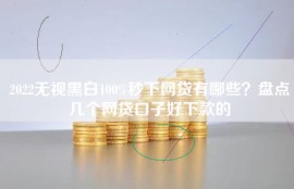 2022无视黑白100%秒下网贷有哪些？盘点几个网贷口子好下款的