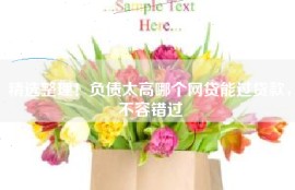 精选整理！负债太高哪个网贷能过贷款，不容错过