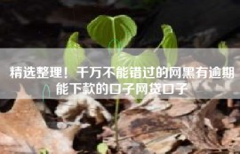 精选整理！千万不能错过的网黑有逾期能下款的口子网贷口子