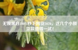 无视黑白100%秒下网贷2020，这几个小额贷款值得一试！